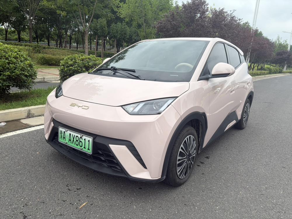 BYD Seagull 2024 Honor Edition 305KM Free Edition
