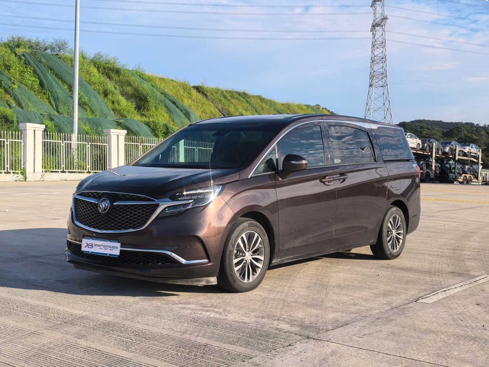 Buick Buick GL8 2020 ES Lu Zun 653T Exclusive Type