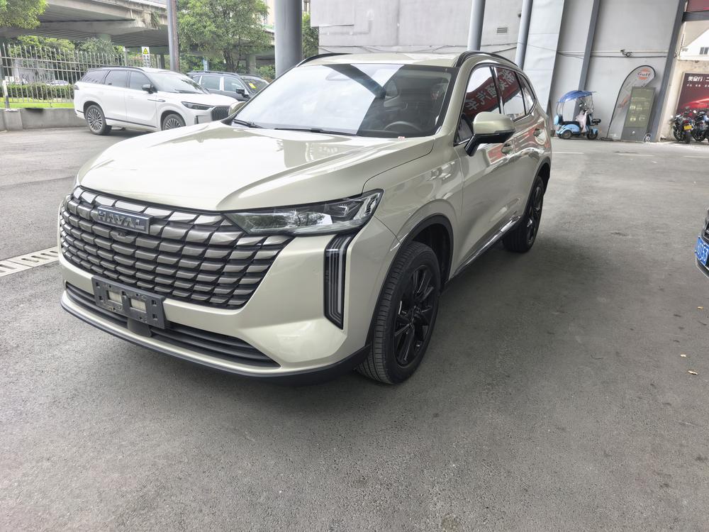 Great_Wall_Motors Haval H6 2024 1.5T automatic two-wheel drive Ultra version