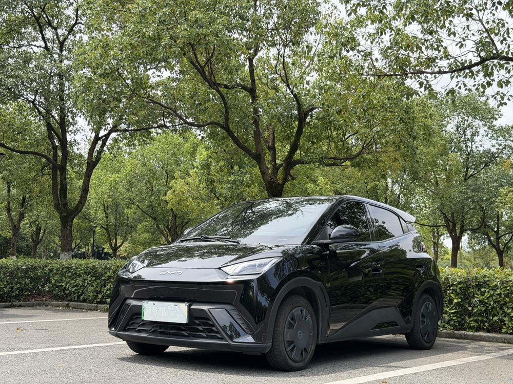 BYD Seagull 2025 305KM Active Edition