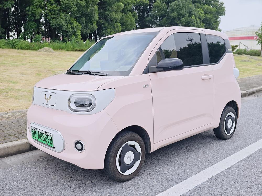 Wuling Wuling Hongguang MINIEV 2024 215km Youth Edition Lithium Iron Phosphate