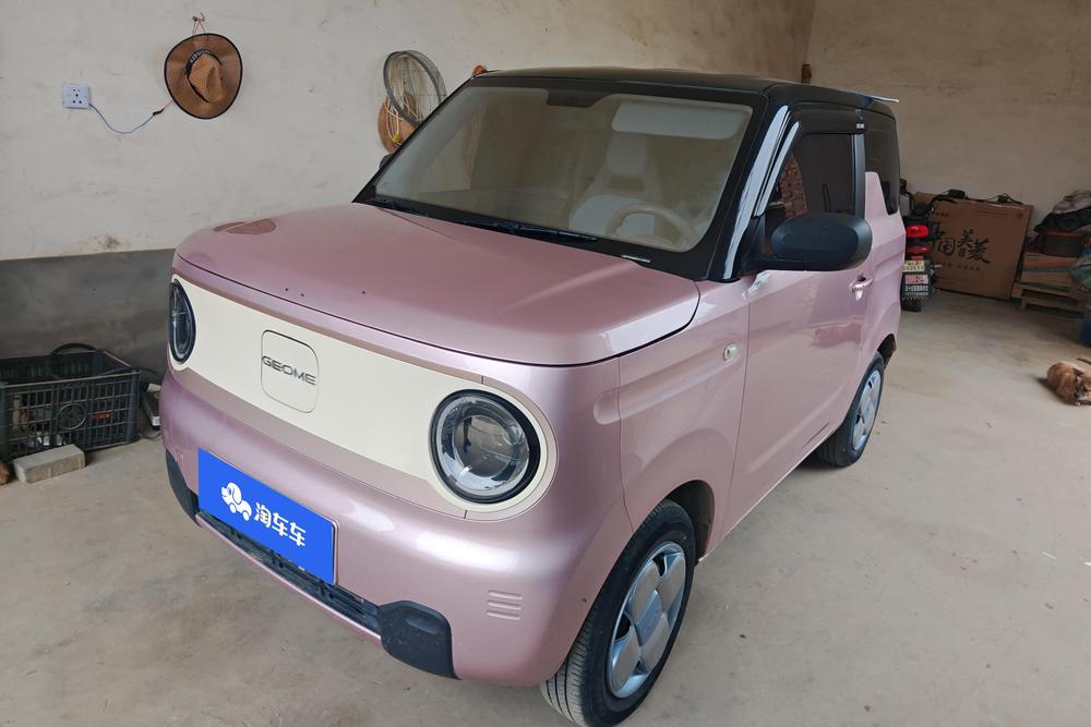 Geely Panda 2023 model 200km Panda mini endurance bear