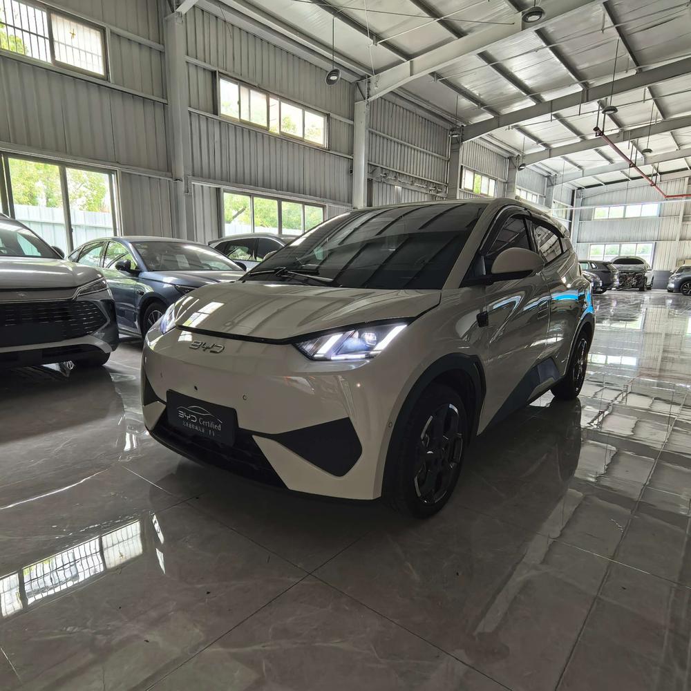BYD Seagull 2025 305KM Active Edition