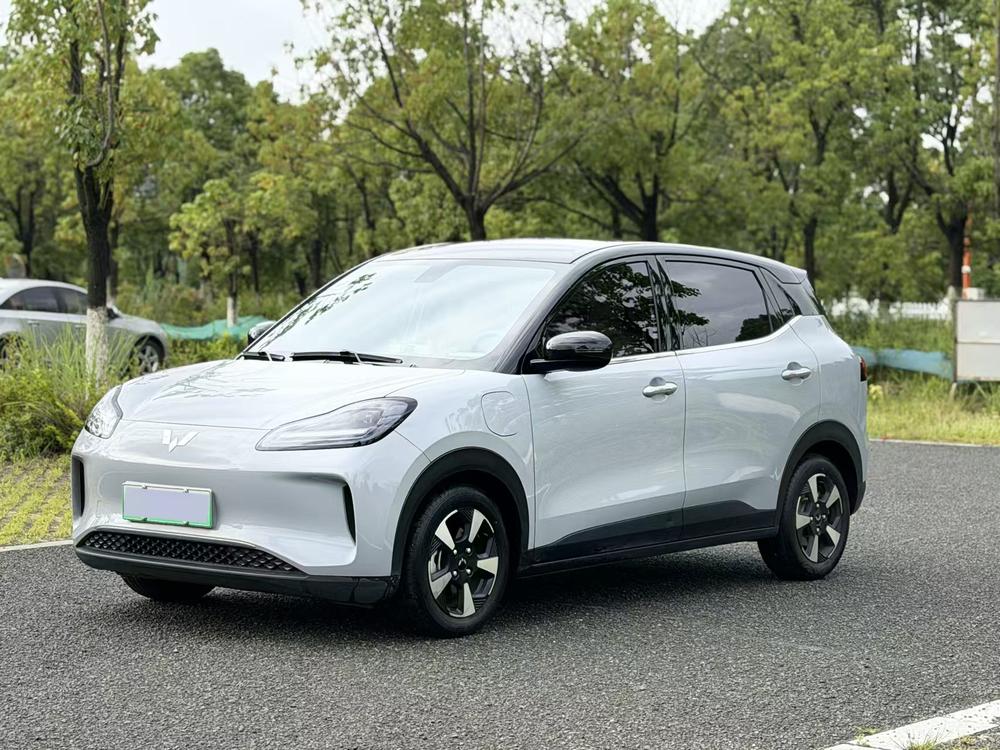 Wuling Wuling Bingo PLUS 2024 330km five-seater version