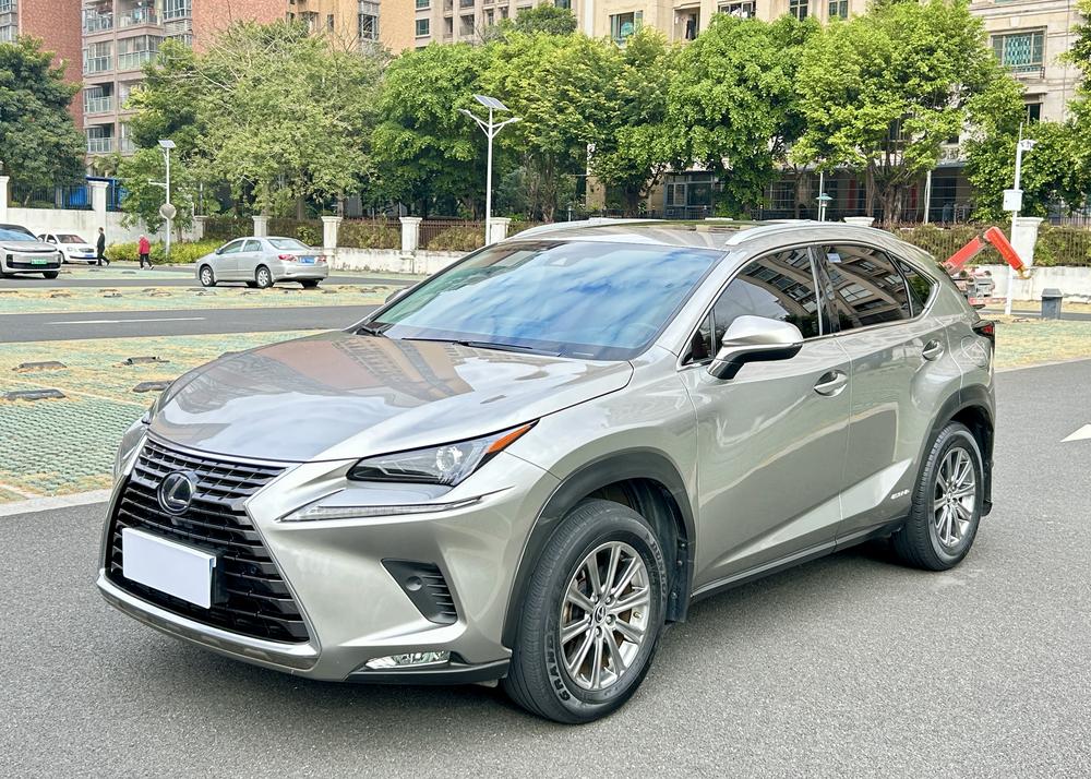 Lexus Lexus NX 2020 300h front-wheel drive Fengshang Edition National VI