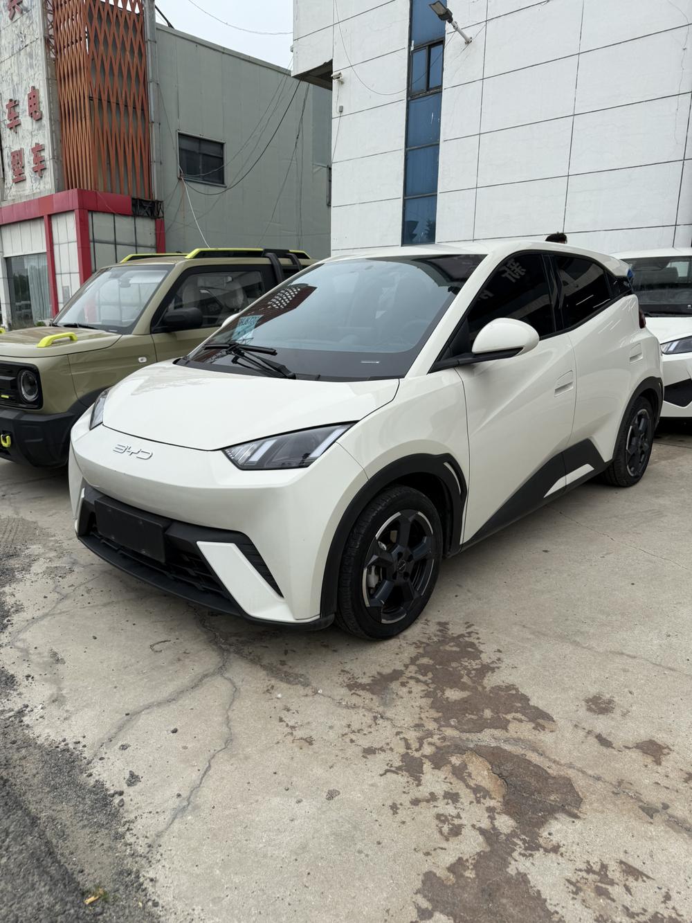 BYD Seagull 2025 Smart Driving Edition 305KM Free Edition