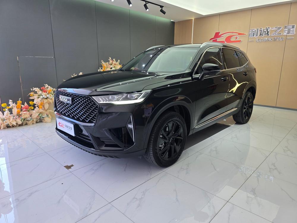 Great_Wall_Motors Haval H6 2021 third generation 2.0T automatic two-wheel drive Max version