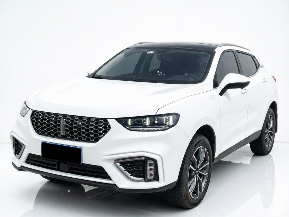 Great_Wall_Motors Wei brand VV5 2020 model 1.5T Zhipione