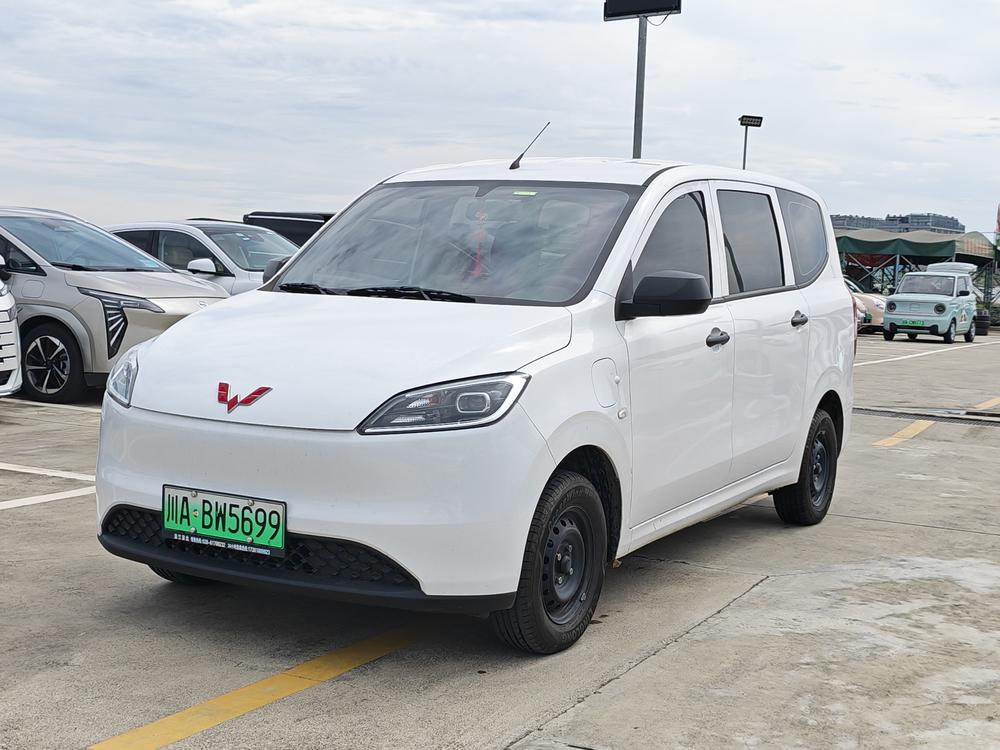 Wuling Wuling Hongguang pure electric version 2024 model 300KM standard type