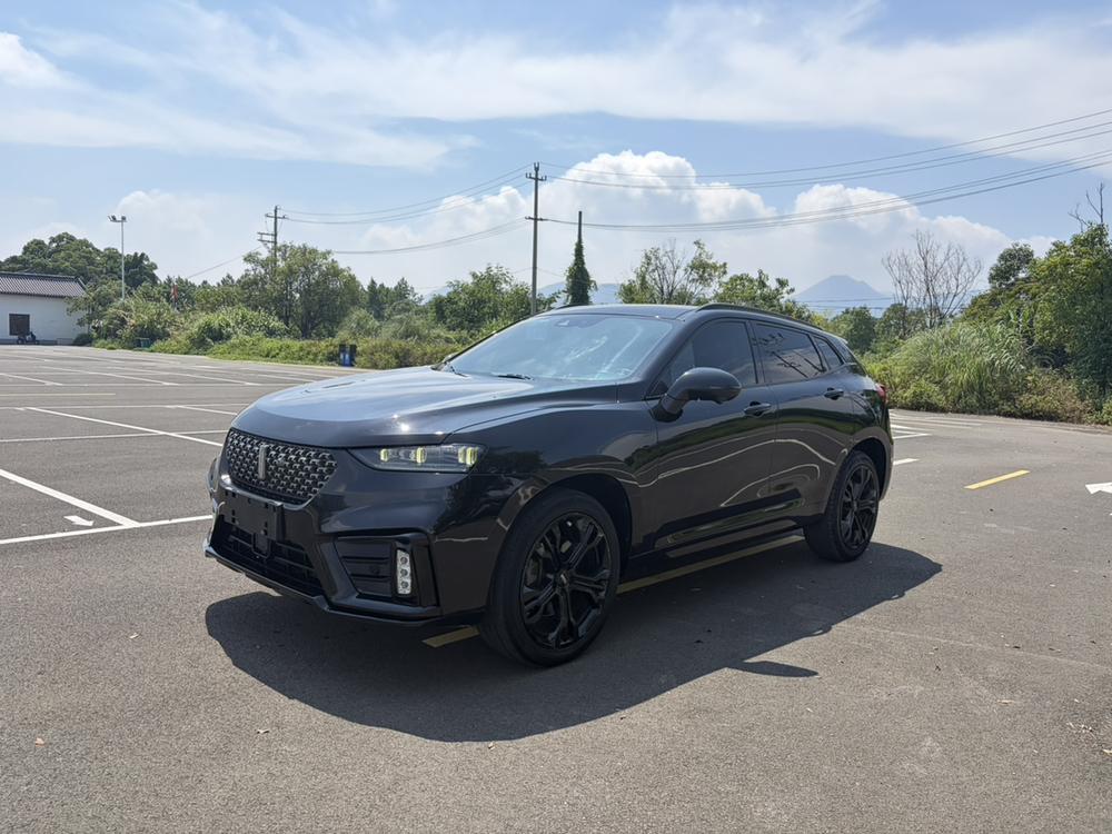 Great_Wall_Motors Wei brand VV7 2020 2.0T flagship model