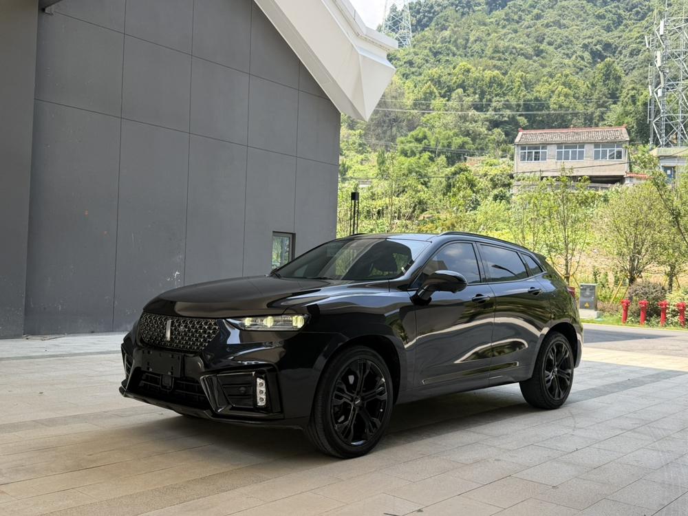 Great_Wall_Motors Wei brand VV7 2020 2.0T flagship model