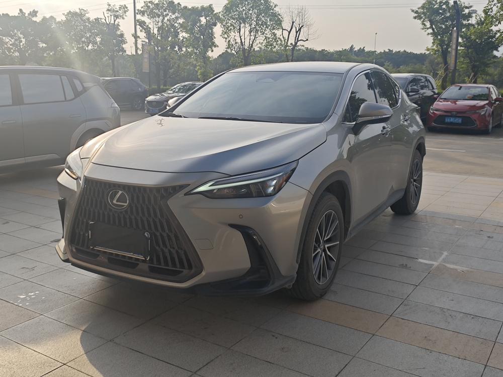 Lexus Lexus NX 2024 260 front-wheel drive Chuangchi version