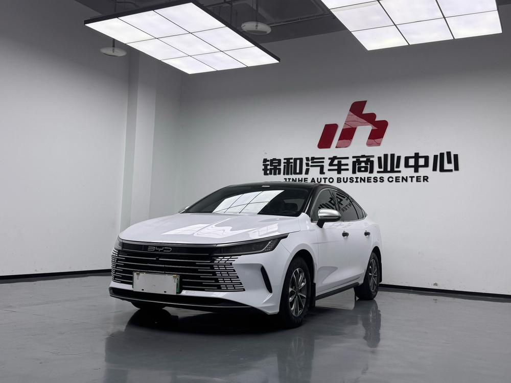 BYD Destroyer 05 2024 Honor Edition DM-i 55KM Luxury Type