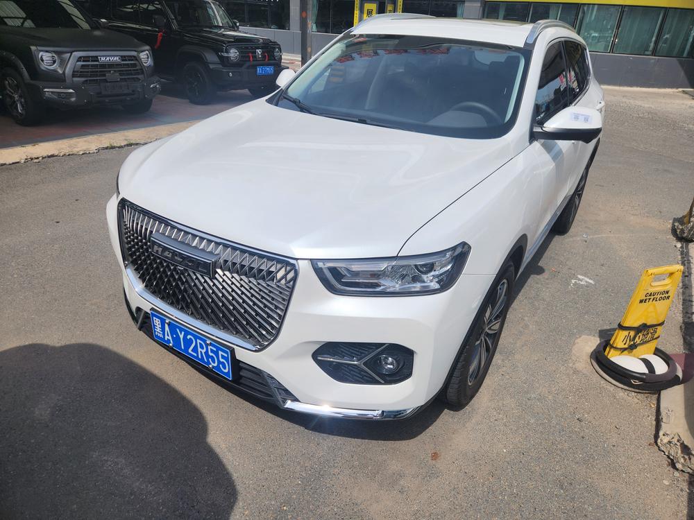 Great_Wall_Motors Haval H6 2020 1.5GDIT Automatic Platinum Champion Edition