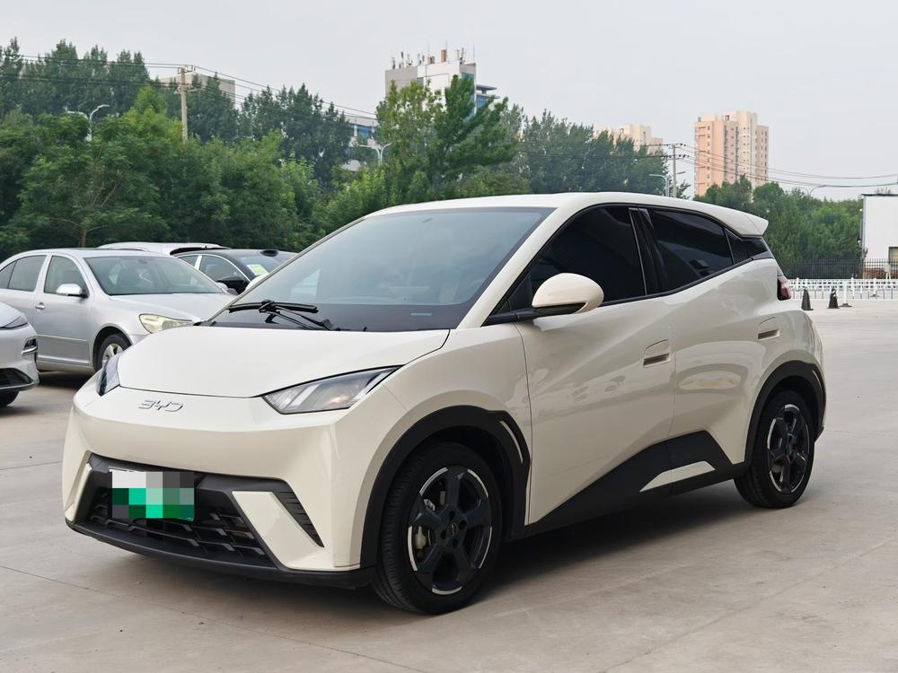 BYD Seagull 2024 Honor Edition 305KM Free Edition