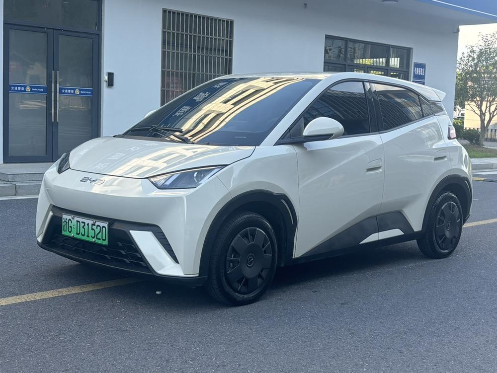 BYD Seagull 2024 Honor Edition 305KM Vitality Edition