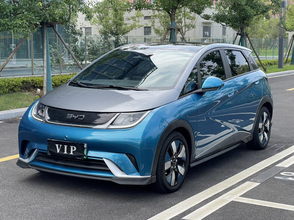 BYD Dolphin 2021 Knight Edition