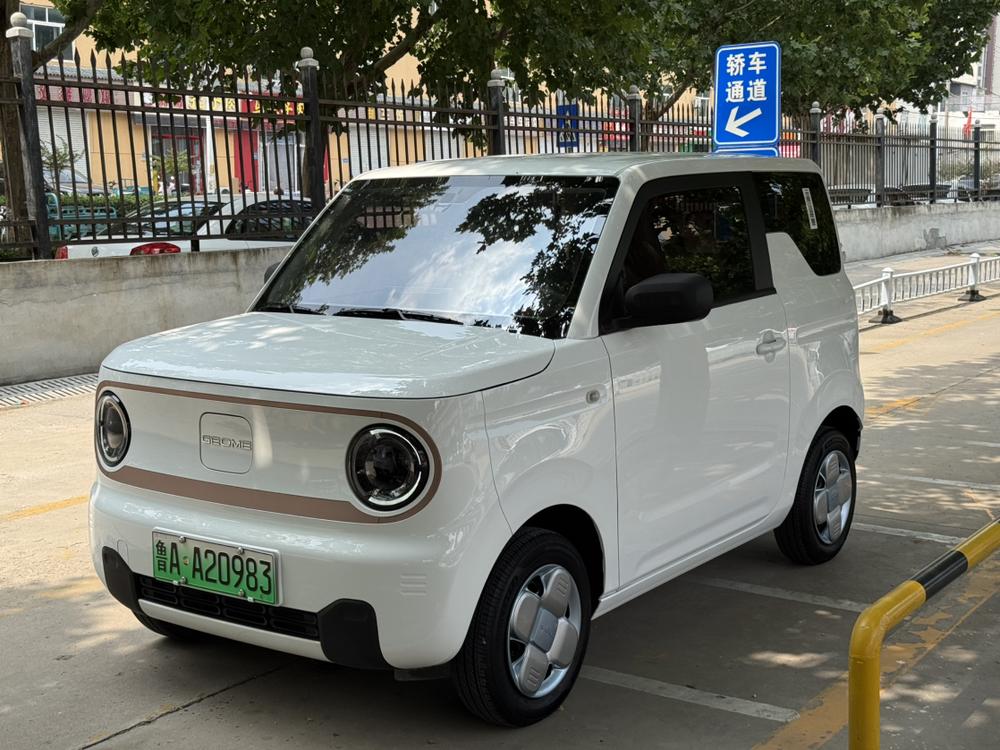 Geely Panda 2024 200km Panda Rider