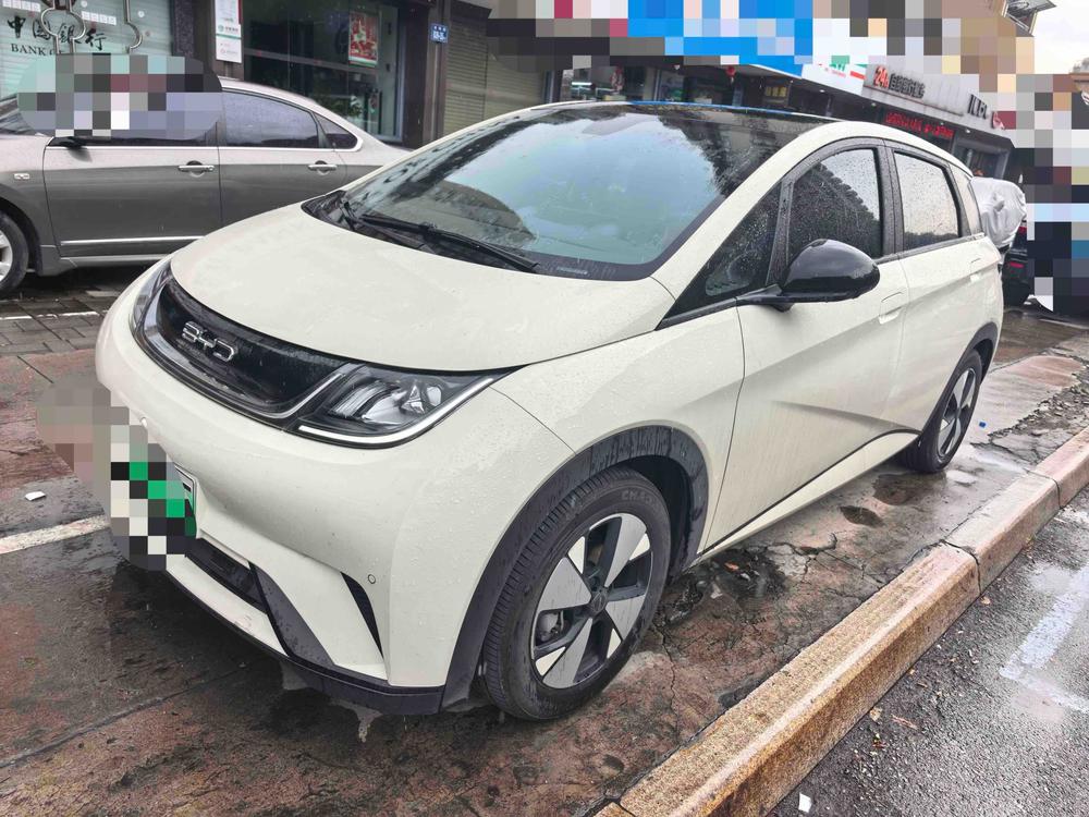 BYD Dolphin 2023 500,000 Commemorative Edition Pro