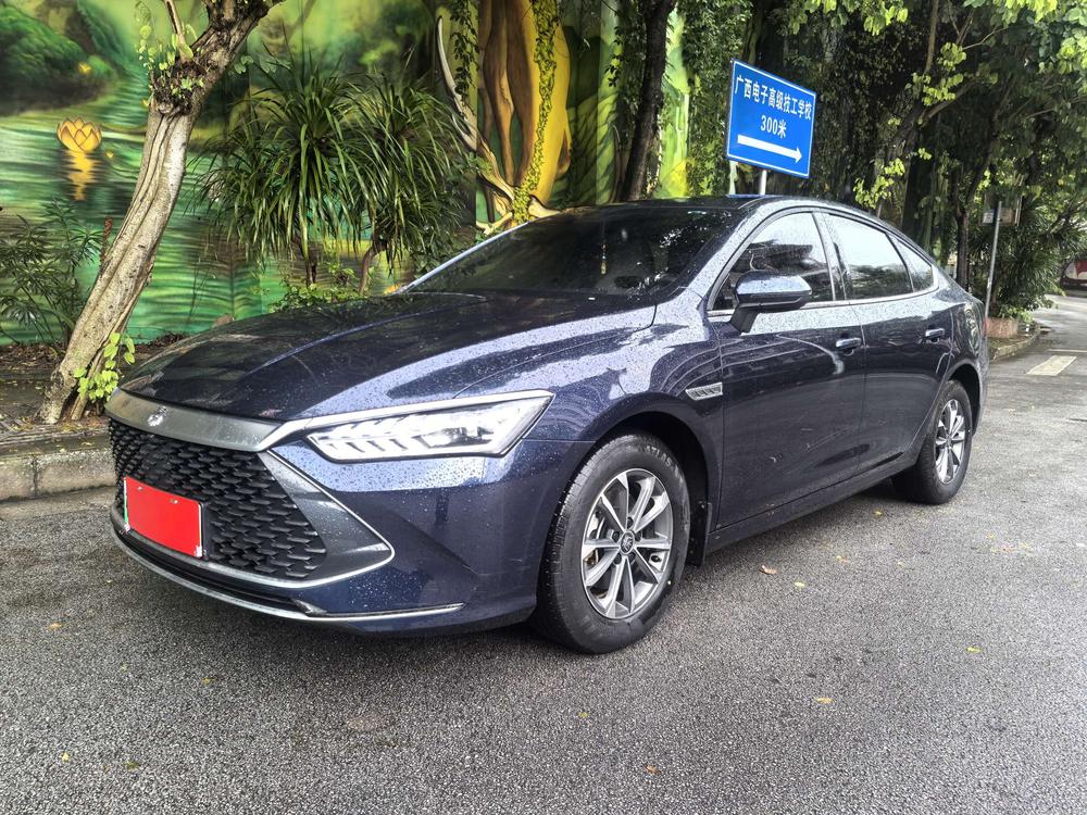BYD Qin PLUS DM 2024 Honor Edition DM-i 55KM Leading Type