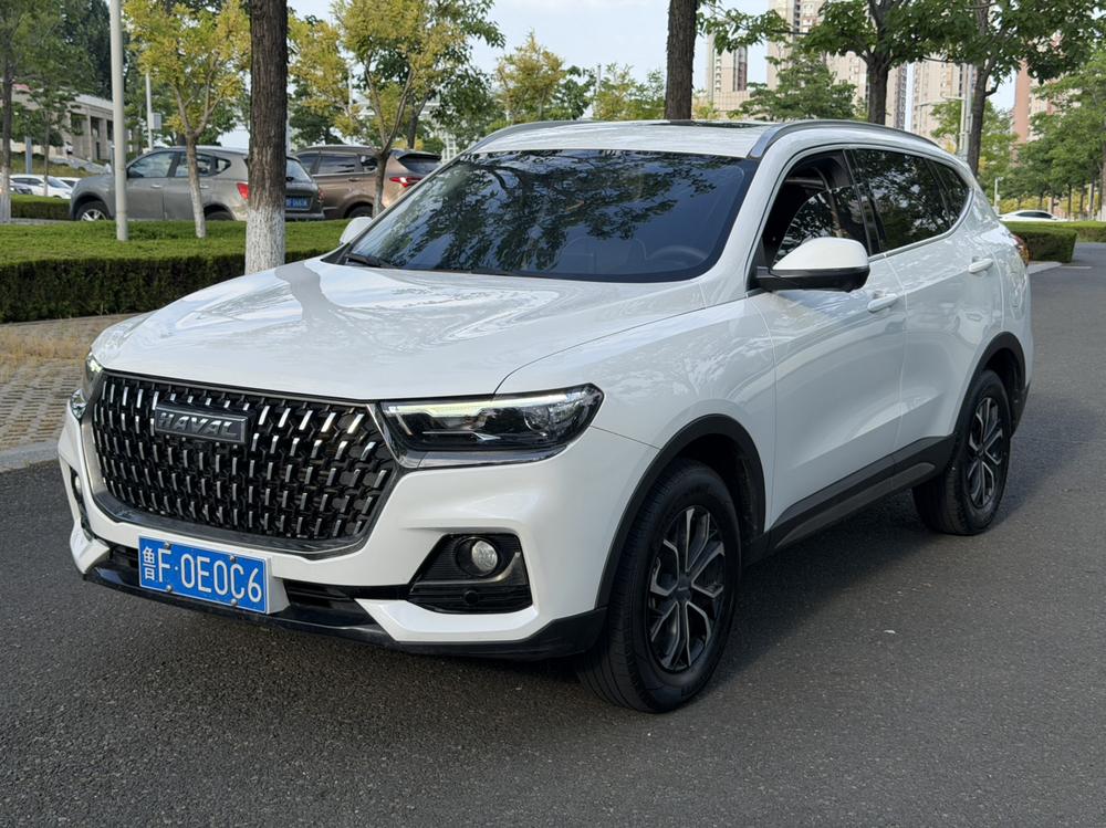 Great_Wall_Motors Haval H6 2023 National Fashion Edition 1.5T Automatic Urban Edition