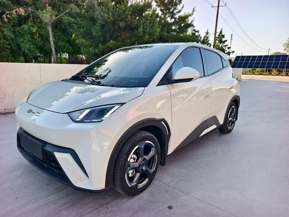 BYD Seagull 2024 Honor Edition 305KM Vitality Edition