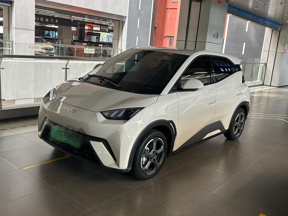 BYD Seagull 2024 Honor Edition 305KM Free Edition
