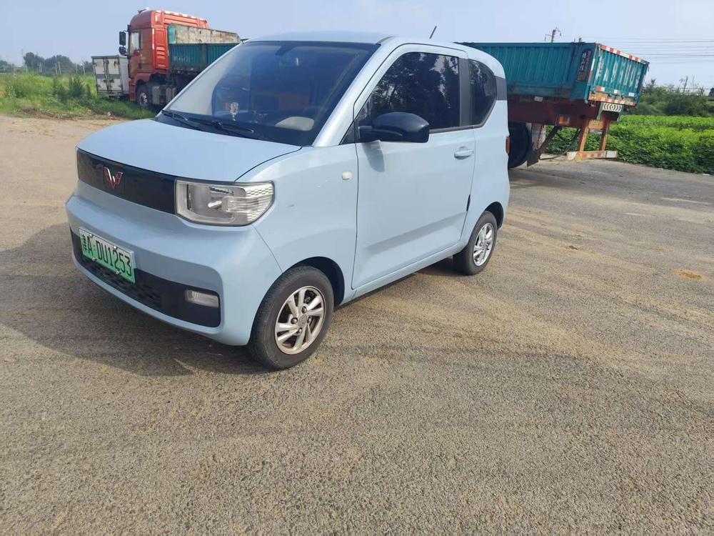 Wuling Wuling Hongguang MINIEV 2020 free model ternary lithium