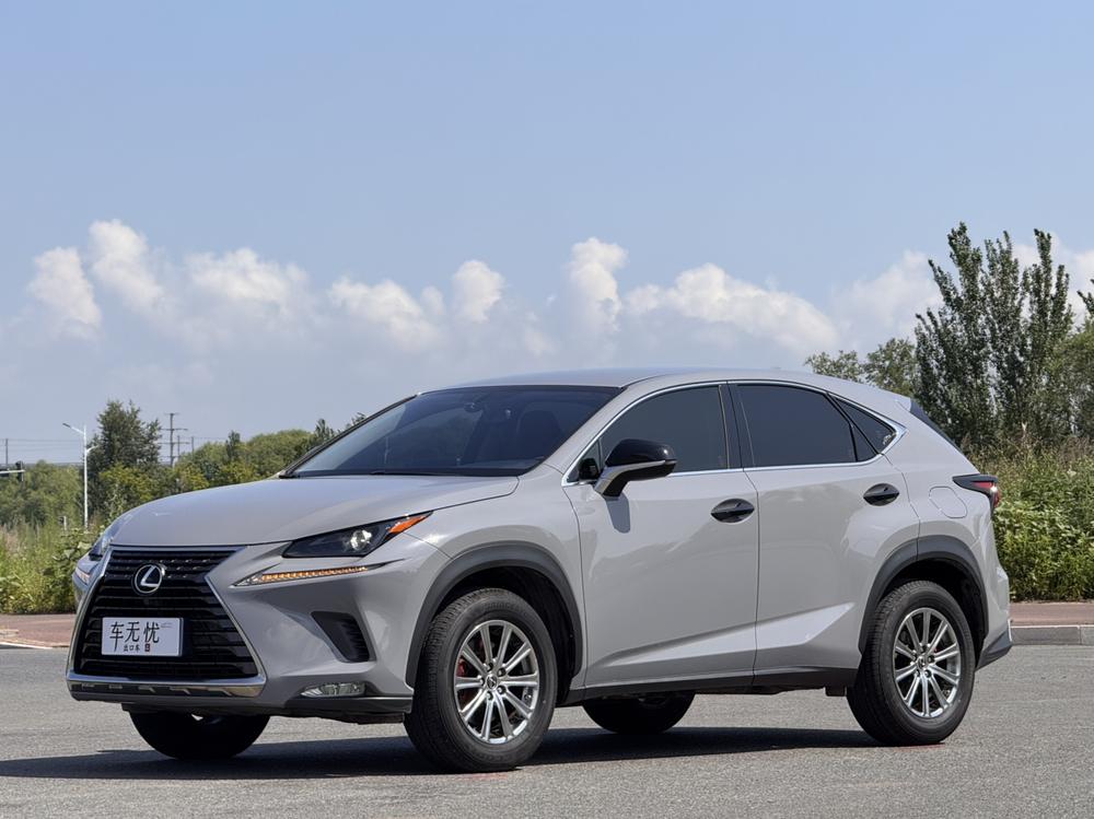 Lexus Lexus NX 2020 200 front wheel drive front version National VI