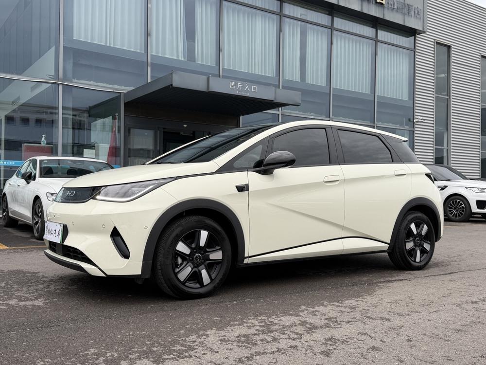 BYD Dolphin 2025 Smart Driving Edition 410KM Fashion Edition