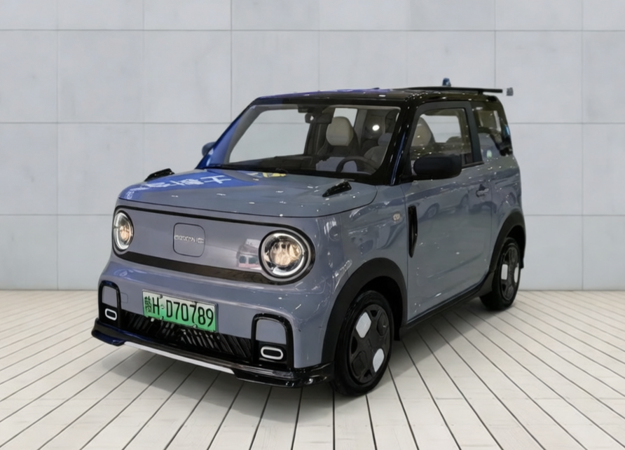 Geely Panda 2024 model 200km Panda Karting