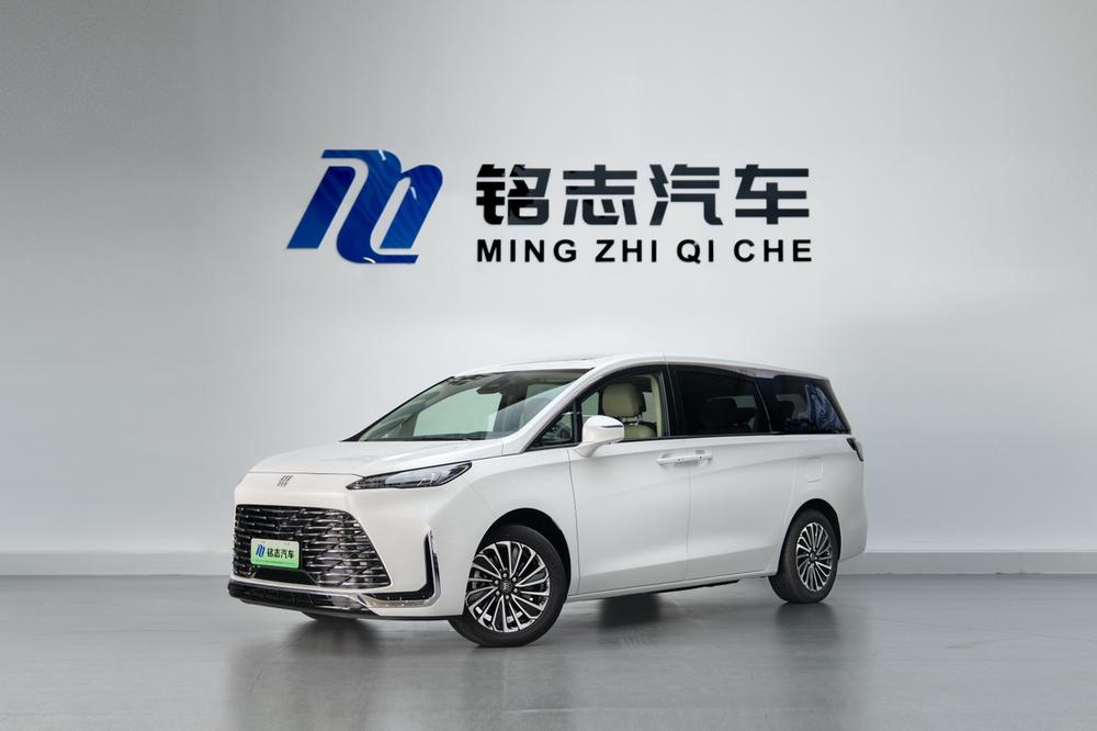 Buick Buick GL8 PHEV 2025 Lu Shang 1.5T Exclusive Edition