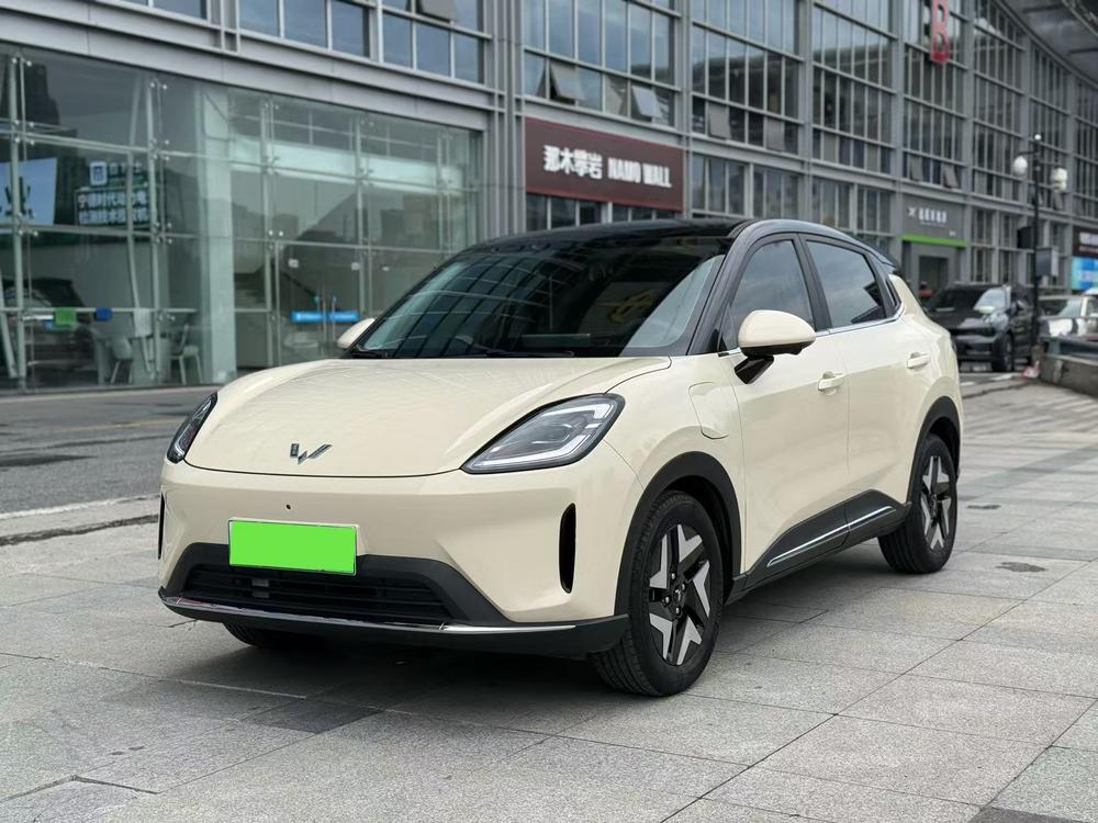 Wuling Bingo S 2025 430km flagship model