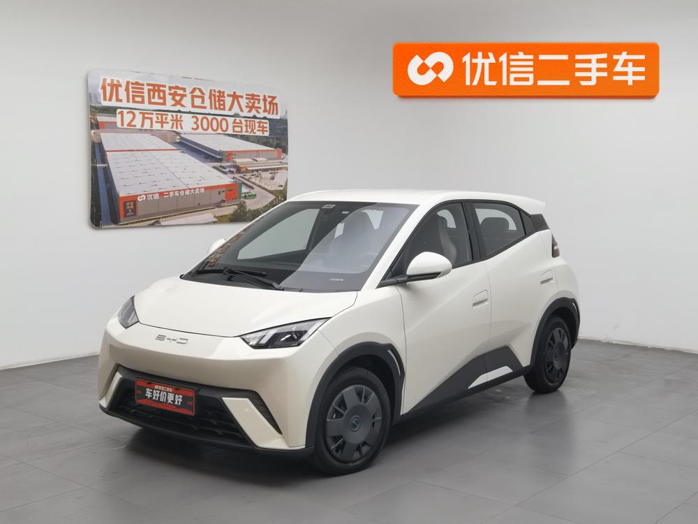 BYD Seagull 2024 Honor Edition 305KM Vitality Edition