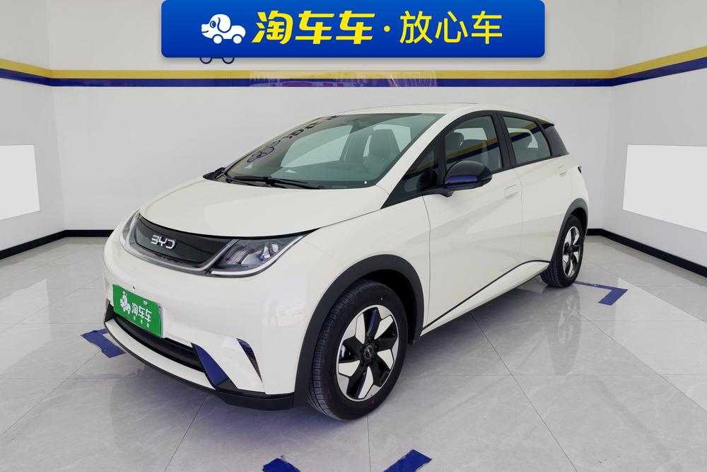 BYD Dolphin 2025 420KM Free Edition