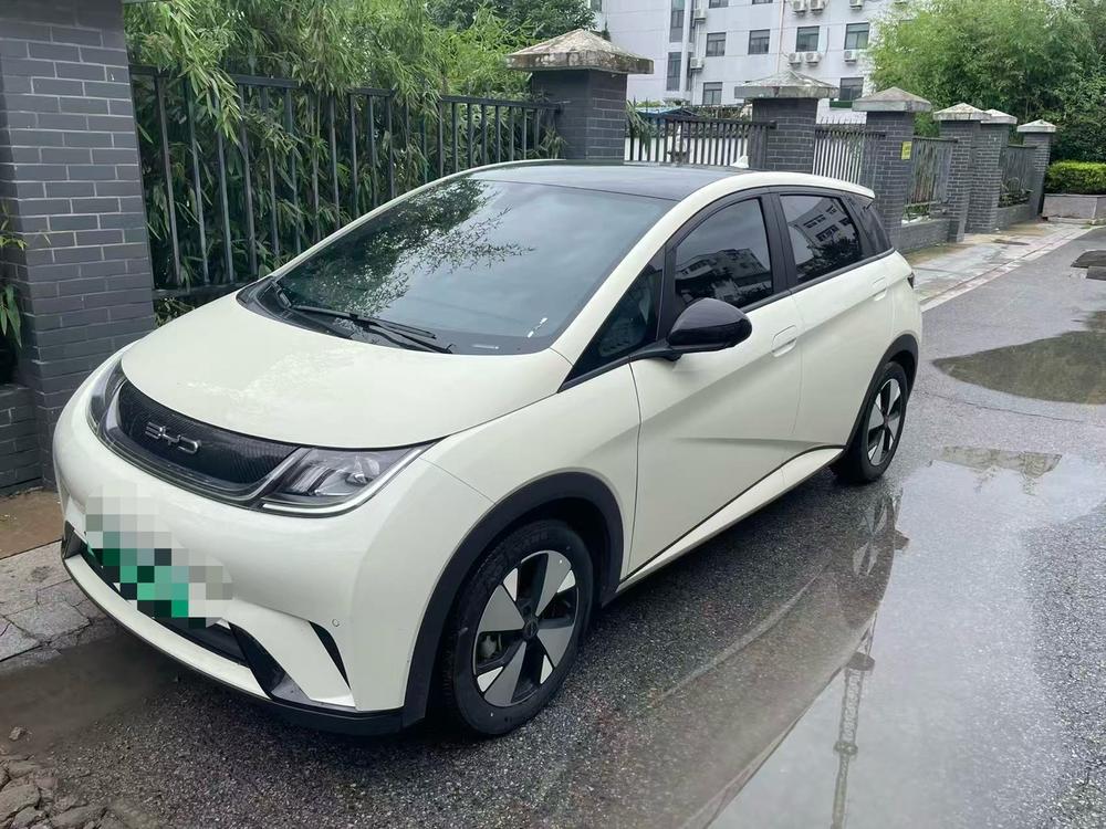 BYD Dolphin 2023 Fashion Edition