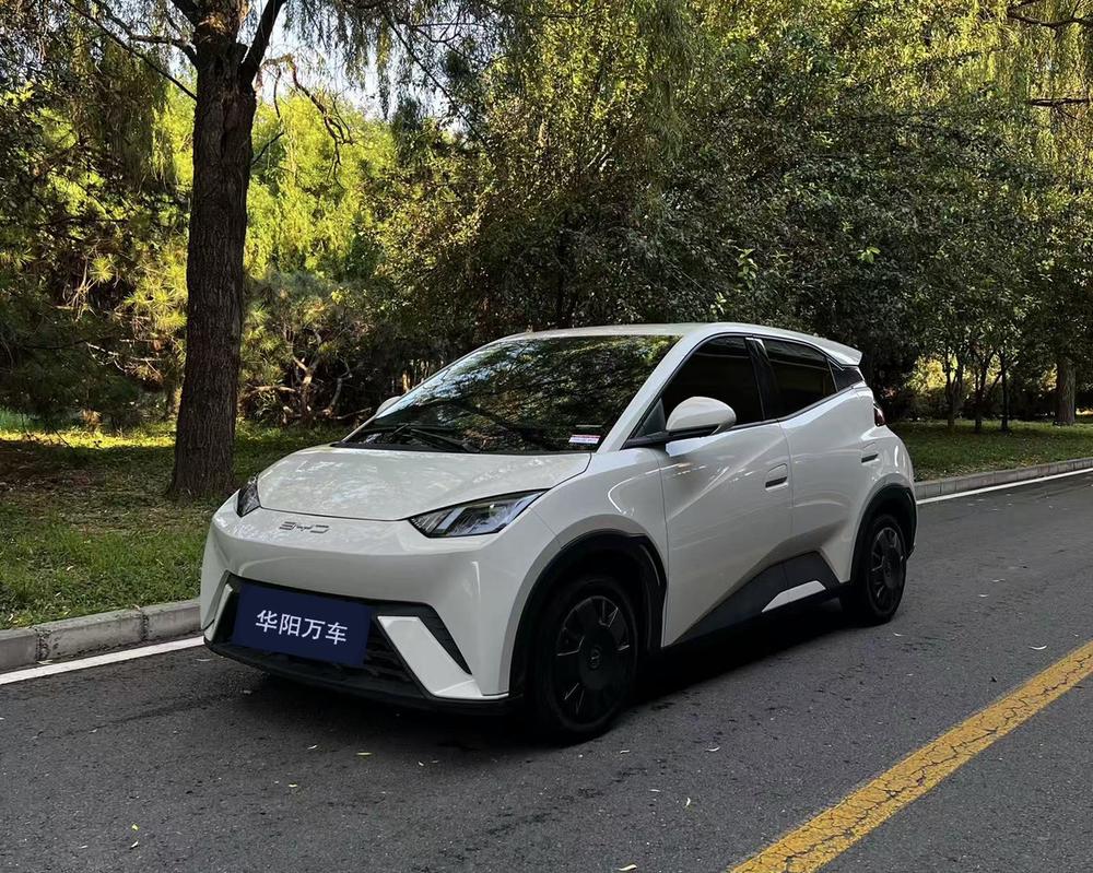 BYD Seagull 2024 Honor Edition 305KM Vitality Edition