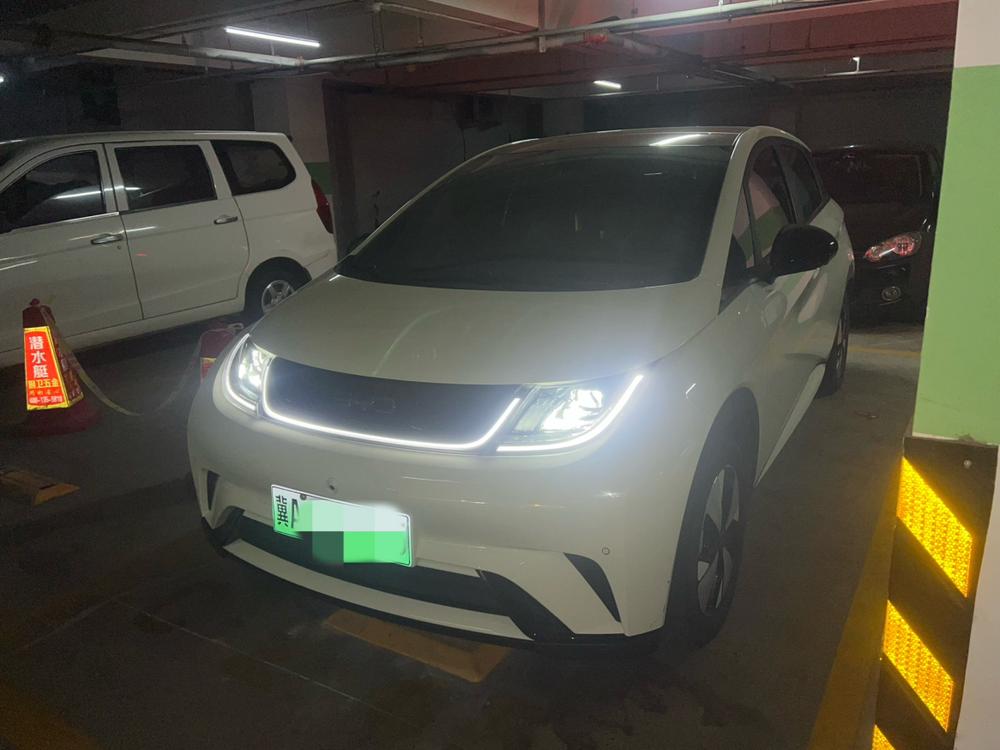 BYD Dolphin 2023 Fashion Edition