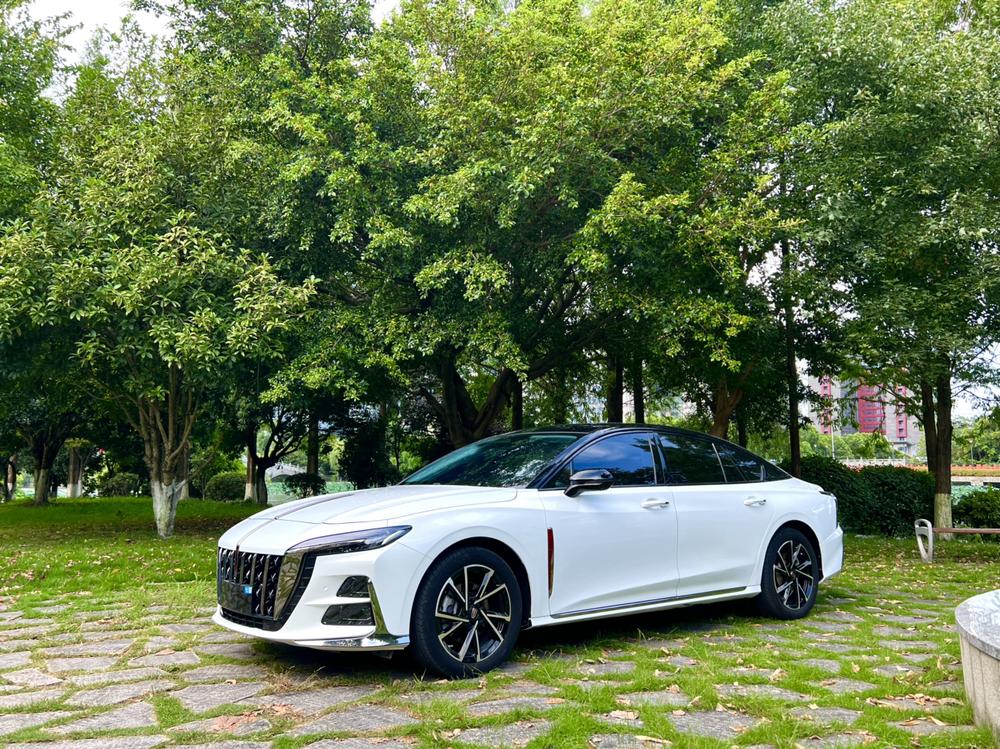 FAW_Hongqi Hongqi H6 2024 2.0T Beauty Edition