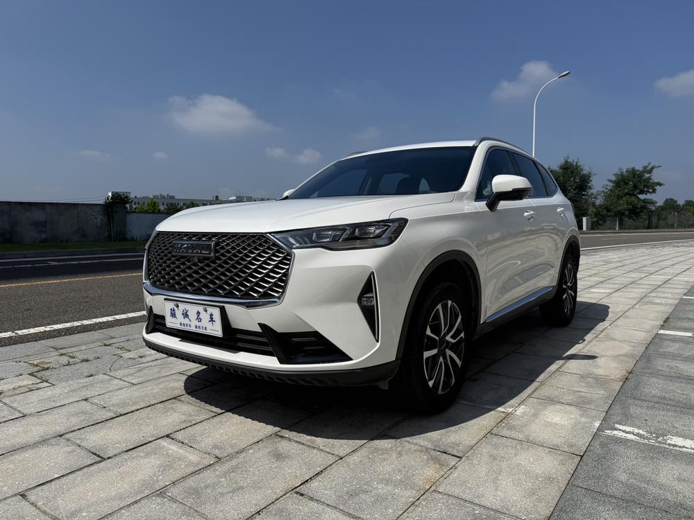 Great_Wall_Motors Haval H6 2022 third generation 1.5T automatic two-wheel drive Pro