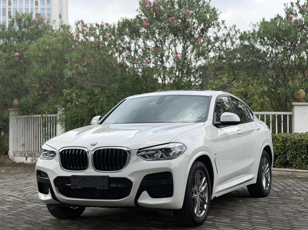 BMW BMW X4 2020 xDrive25i M Sports Package