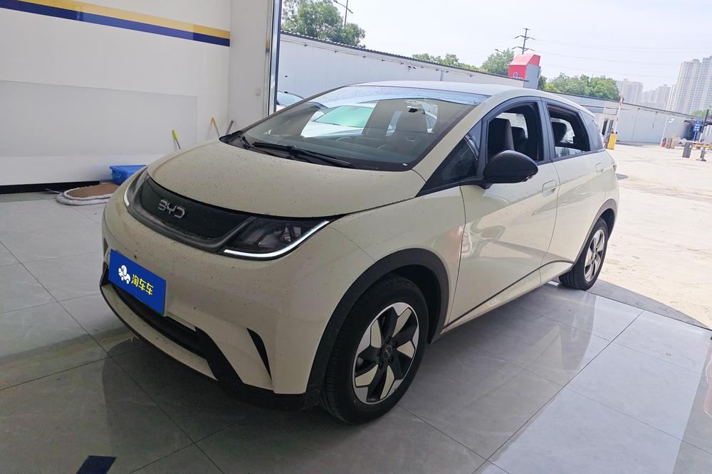 BYD Dolphin 2025 420KM Free Edition