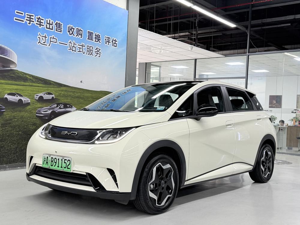 BYD Dolphin 2021 Fashion Edition