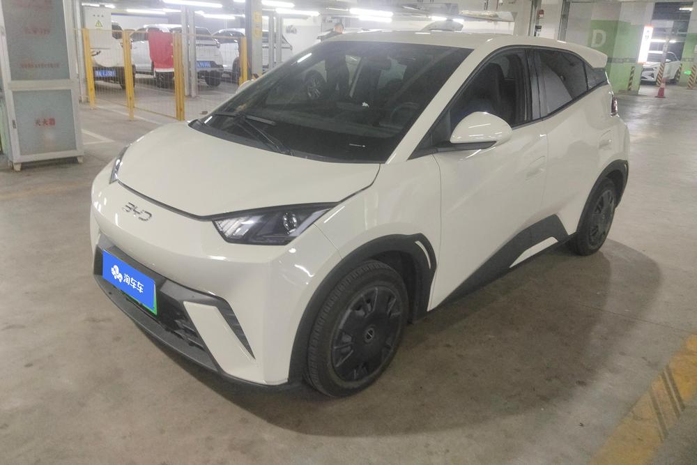 BYD Seagull 2024 Honor Edition 305KM Vitality Edition