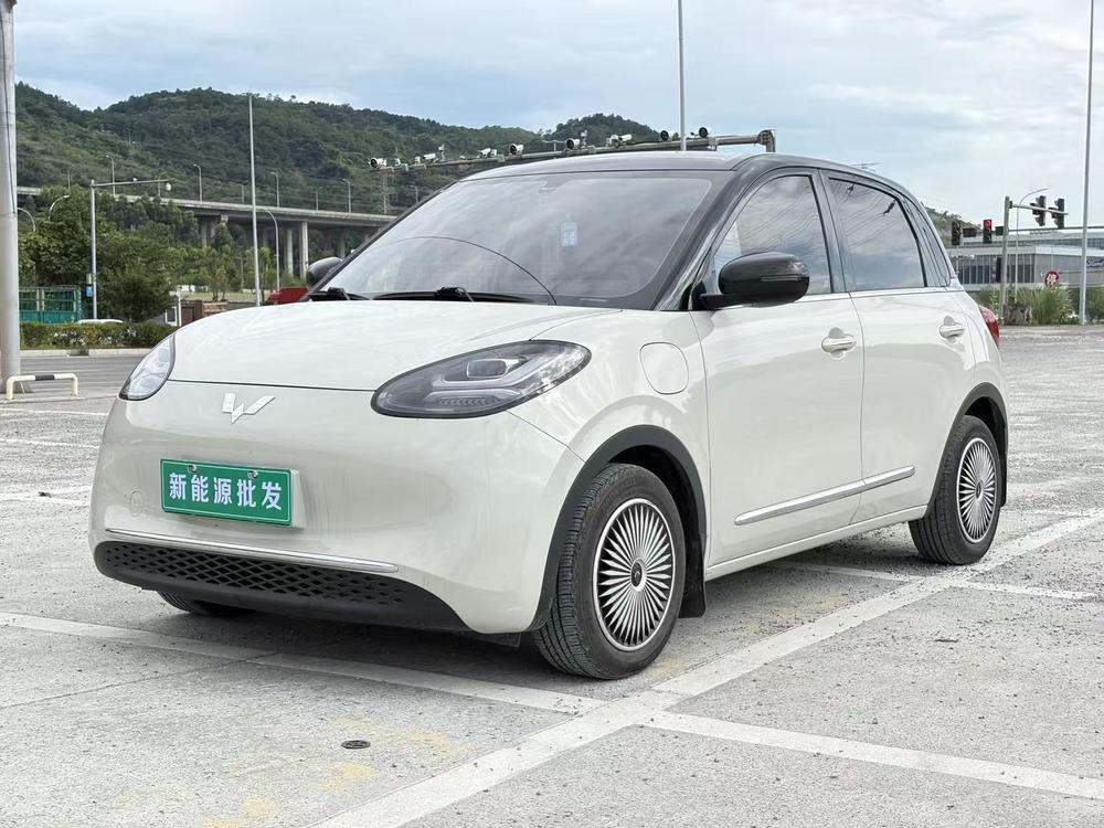 Wuling Wuling Bingo 2024 model 333KM Lingxi Internet model