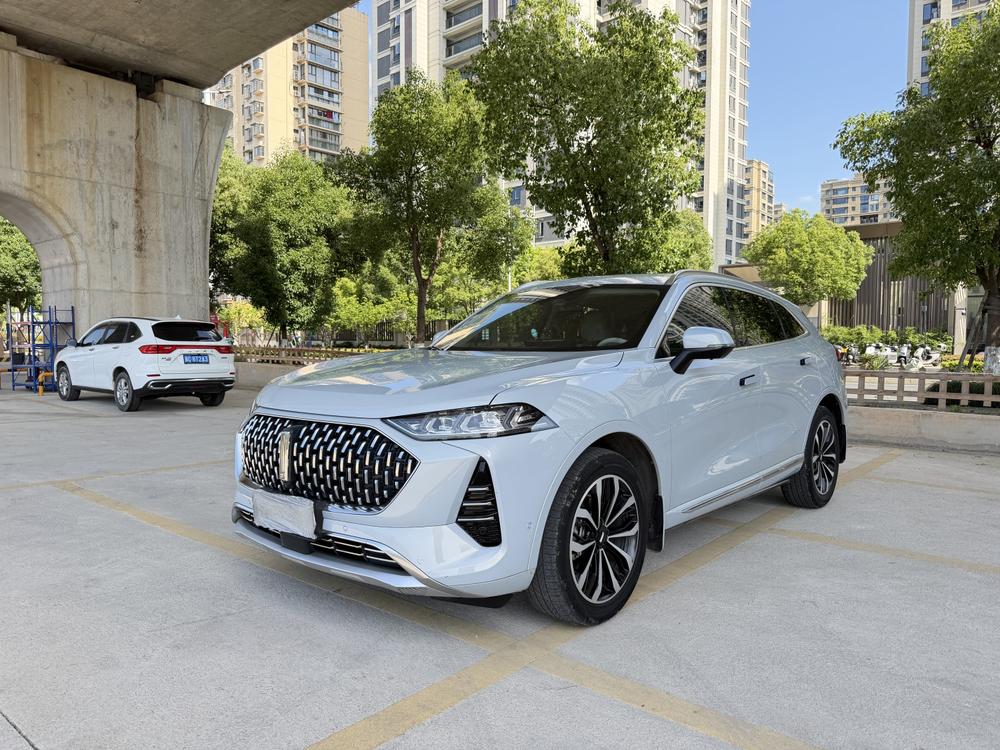Great_Wall_Motors Mocha 2021 2.0T two-wheel drive special version