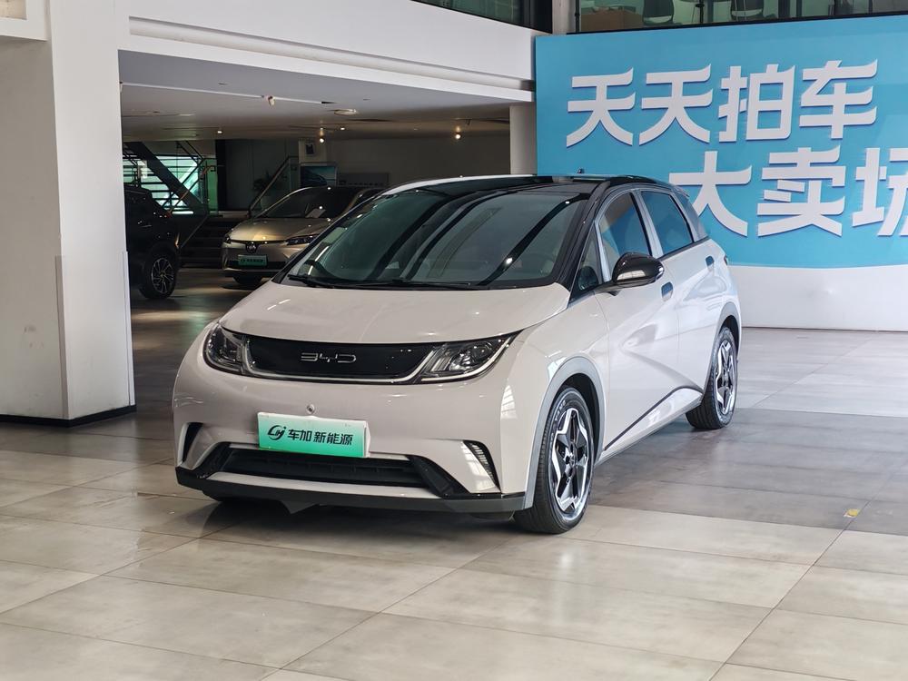 BYD Dolphin 2021 Fashion Edition
