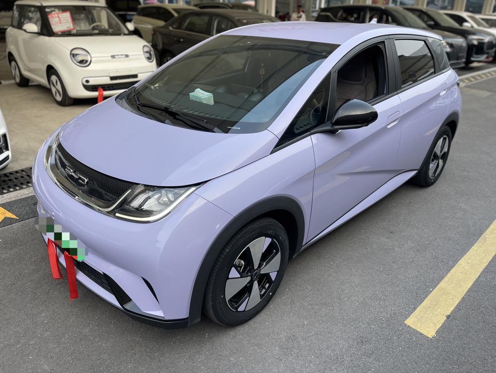 BYD Dolphin 2023 Free Edition
