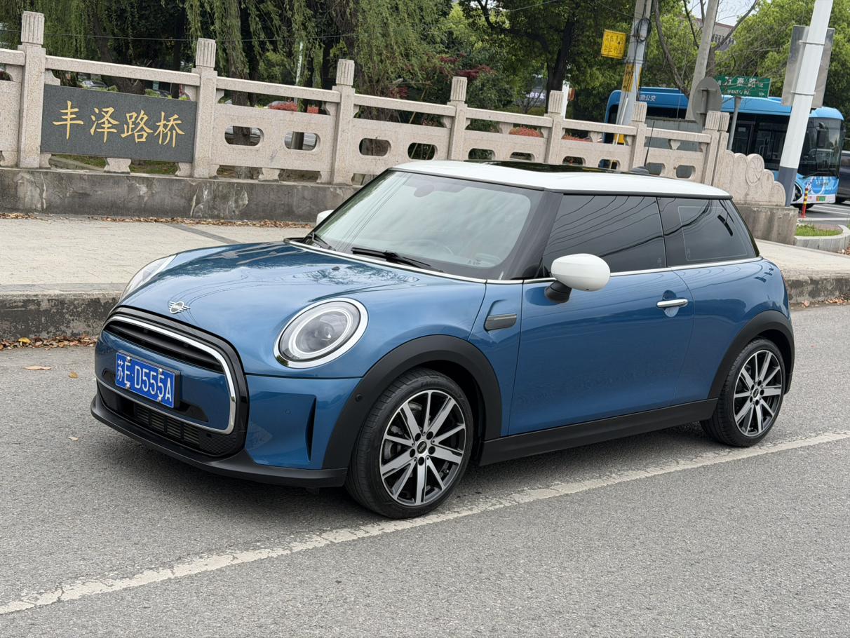 Mini Mini Artist COOPER 2021