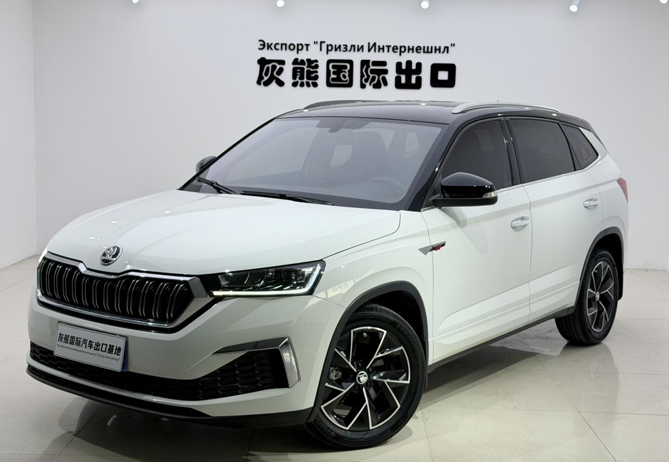 Skoda Kamiq Premium Enjoy 2024